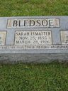 Record image of William Jackson Bledsoe