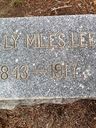 Record image of Sally Ann Lee (born Miles)