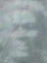 Record image of Oroopinia dit Roopinia dit Tehahe dit TUPANA T. TAUTOO a MARARI