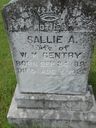 Record image of Sallie A. Gentry (born Long)