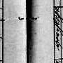 Record image of Anna Maria Benedikt (geb. Paltera)