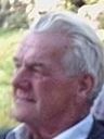 Record image of Werner Wilhelm Hermann Schmidt