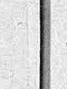Record image of Ferenc Meszaros