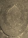 Record image of Anne Cathrina* Andersen (nacida Hemmingsdatter)