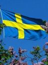 Record image of Swen Petter Larsson