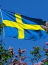 Record image of Jonas Erlandsson