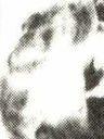Record image of Vilda Nielson (born Mason)