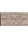 Record image of Herbert Charles Stubbs Jones (born Pitt)