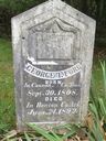 Record image of George Tennessee Ford