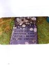 Record image of Amanda Sofia Blom (o.s. Johansdotter  "Blommesa")
