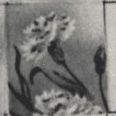 Record image of Thomas Winward