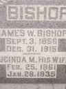 Record image of Lucinda Margaret Bishop (born Jones)
