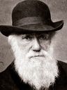 Record image of Charles Robert Darwin