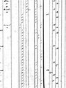 Record image of Anne O'Connor (født McDonald)
