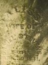 Record image of Melissa Stevens (born Goodwin)