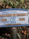 Record image of Nancy Emeline Jones (Salyer)