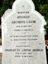Record image of Adriaan Jacobus Louw