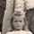 Record image of Irene Breitenbach (geb. Noll)