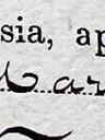 Record image of Maria de la Encarnación Amalia Josefa Gámez Alcántara (born Santana Ruiz)