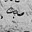 Record image of Francisca Garcia Ribera (nacida Garcia Castro)