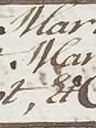 Record image of Maria Theresia SEGAAR (geb. van Egmont)