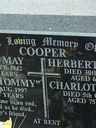 Record image of Charlotte Lucy Cooper (born Cox)