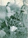 Record image of Jessie Florence (Alice Everette) Yochum (born Louis (Thomas))