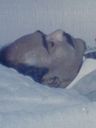 Record image of Jose Angel Arroyo