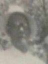 Record image of Pedro Maldonado RIVERA