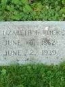 Record image of Elizabeth "Lizzie" Tanner ROCK (born COPE)