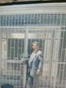 Record image of Jose Alfredo Medina Apablaza