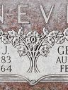 Record image of Bertha Obray Neve / Jessop (born Jackson)