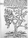 Record image of Maria Christina "Maria Charlotta" Skrabb (o.s. Pelander)