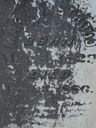 Record image of Mark Lafayette Stroud