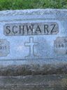 Record image of George Schwarz