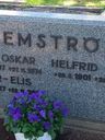 Record image of Oskar Elis Lemström