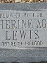 Record image of Catherine Agnes Lewis (born Gaffery)