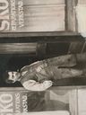 Record image of Sven Emanuel Gustafsson