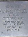 Record image of Richard Rudolf Hamlet