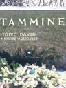 Record image of Toivo David Tamminen