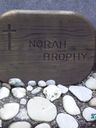 Record image of Honora "Nora" Brophy