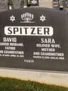 Record image of David Spitzer