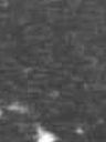 Record image of Martha Elizabeth "Betty or Bettie" Cash Taber