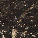 Record image of Catherine Daley (born McDougall)