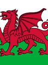 Record image of Morfydd ap Ednyfed Fychan (born verch Meurig)