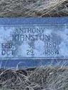 Record image of Anthony Johnston