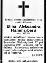 Record image of Elina Alexandra Axelsdotter Hammarberg (o.s. Mäkilä)