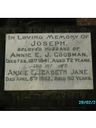 Record image of Annie Elizabeth Jane James (Goodman) (born Stokes)