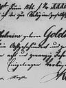 Record image of Wilhelmine Brach (nacida Goldschmidt)