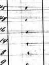 Record image of Nielsine Eline Vester (born Henriksdatter)